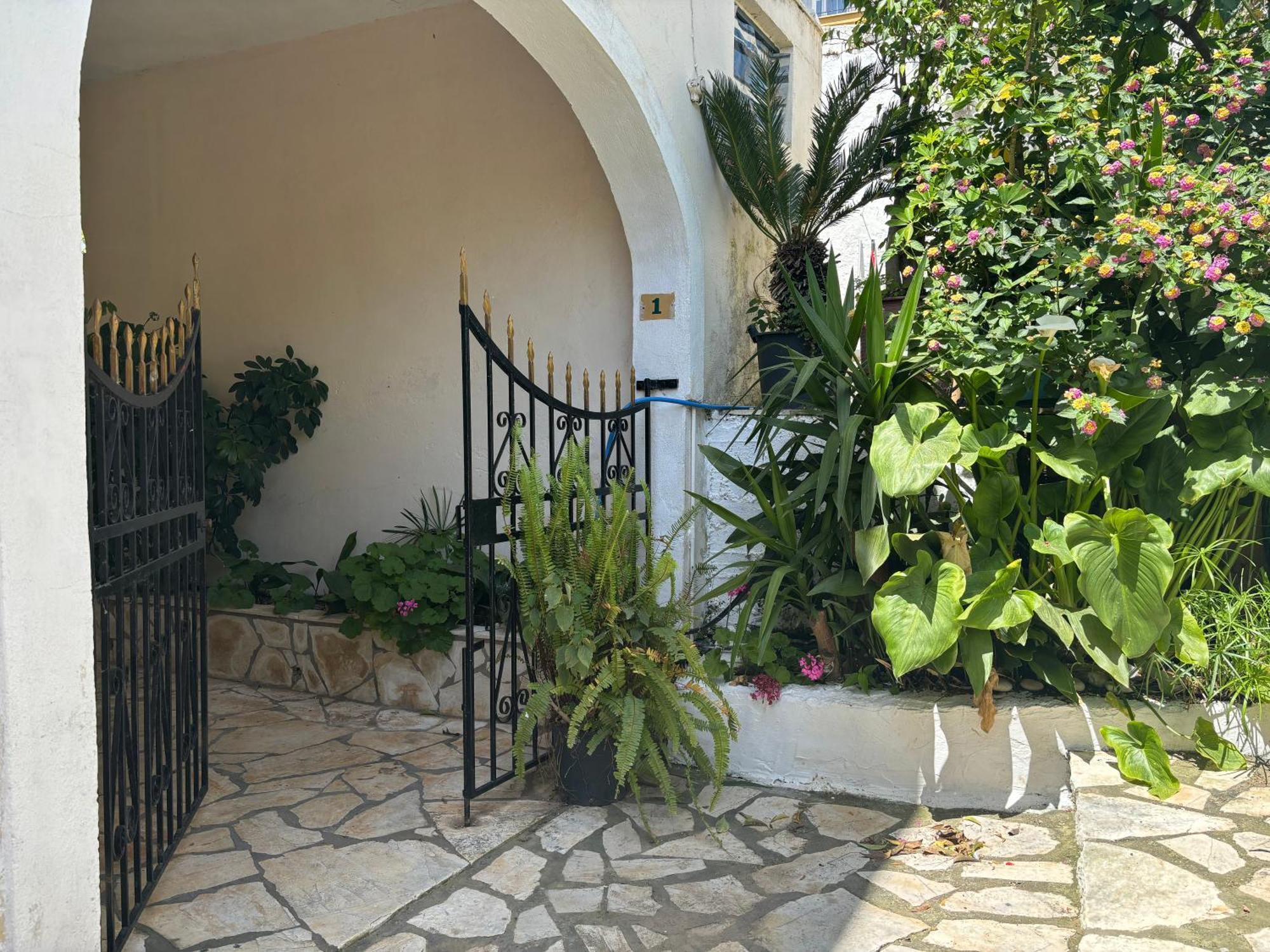 Antigone's Kassiopi